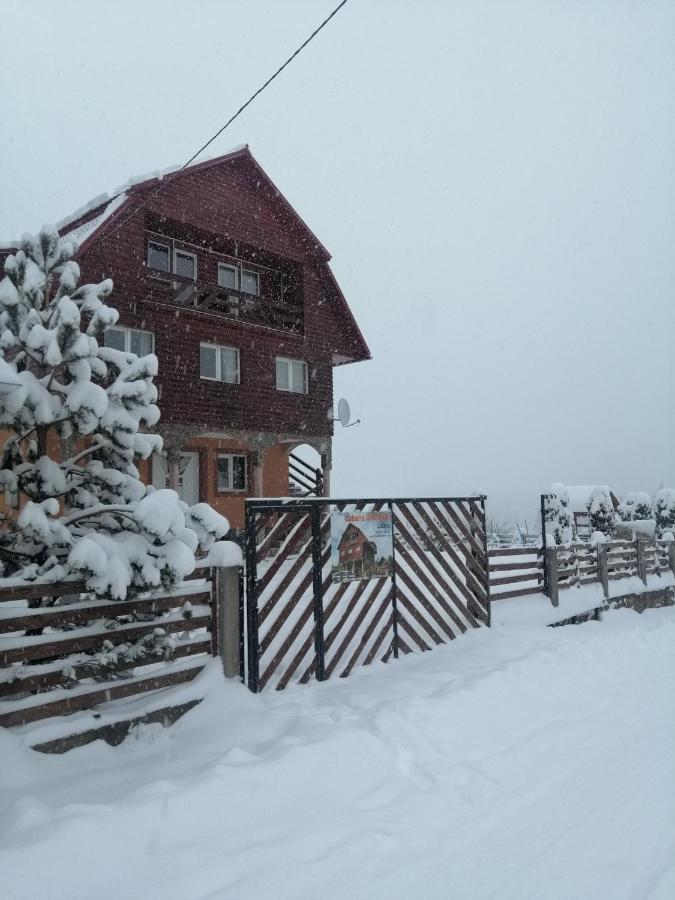 Cabana Ghetari Zewnętrze zdjęcie